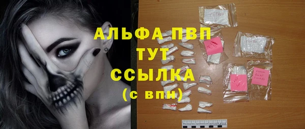 СК Елизово