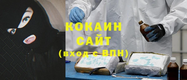 дурь Ельня