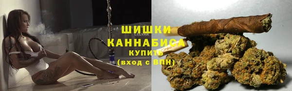 дурь Ельня