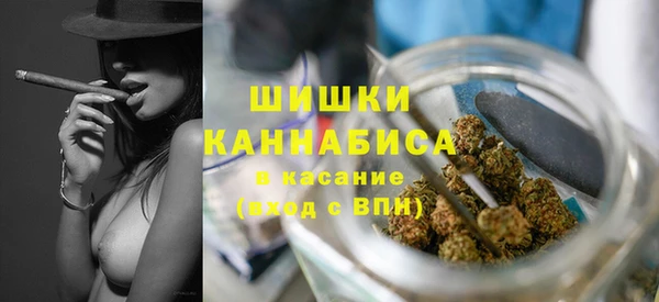 дурь Ельня