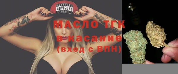дурь Ельня