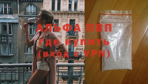 СК Елизово