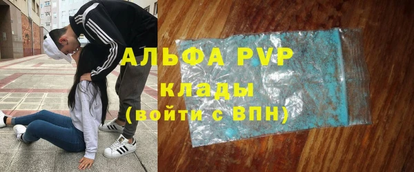 СК Елизово