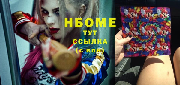 дурь Ельня