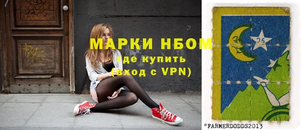 СК Елизово