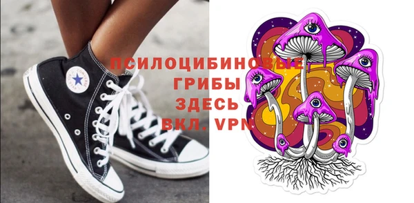 СК Елизово