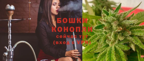 дурь Ельня