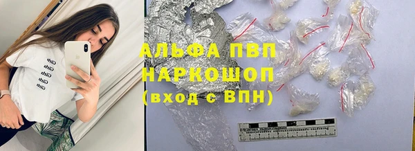 стафф Елабуга