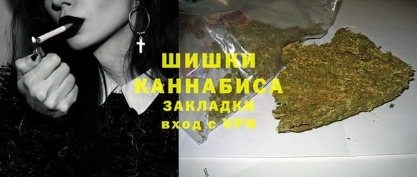 СК Елизово