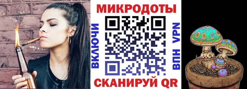 Псилоцибиновые грибы Psilocybe  Купить  Покровск 